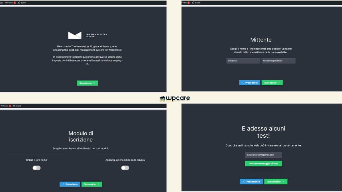 Come Creare una Newsletter efficace con WordPress 3 screen plugin newsletter