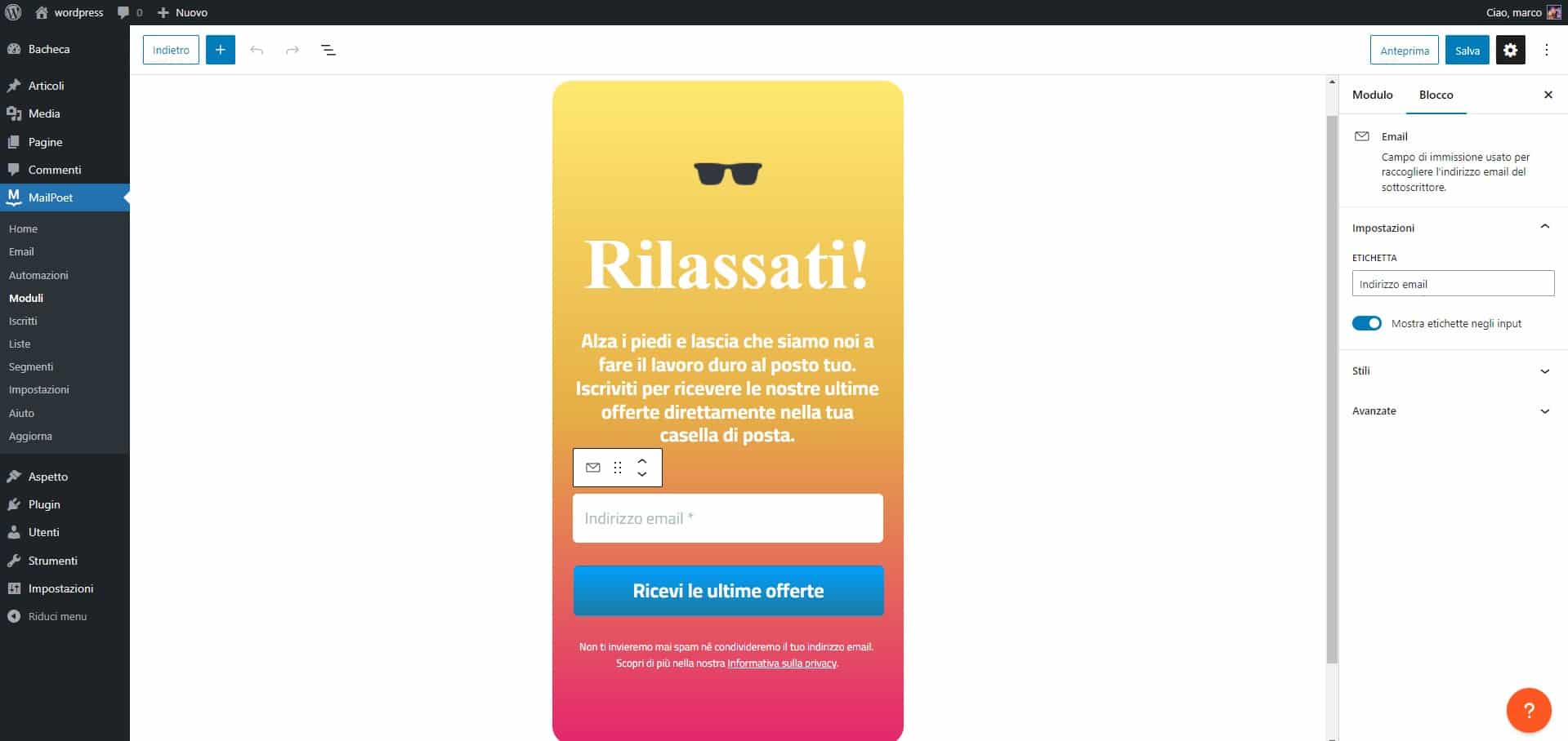 Come Creare una Newsletter efficace con WordPress 6 screen plugin newsletter