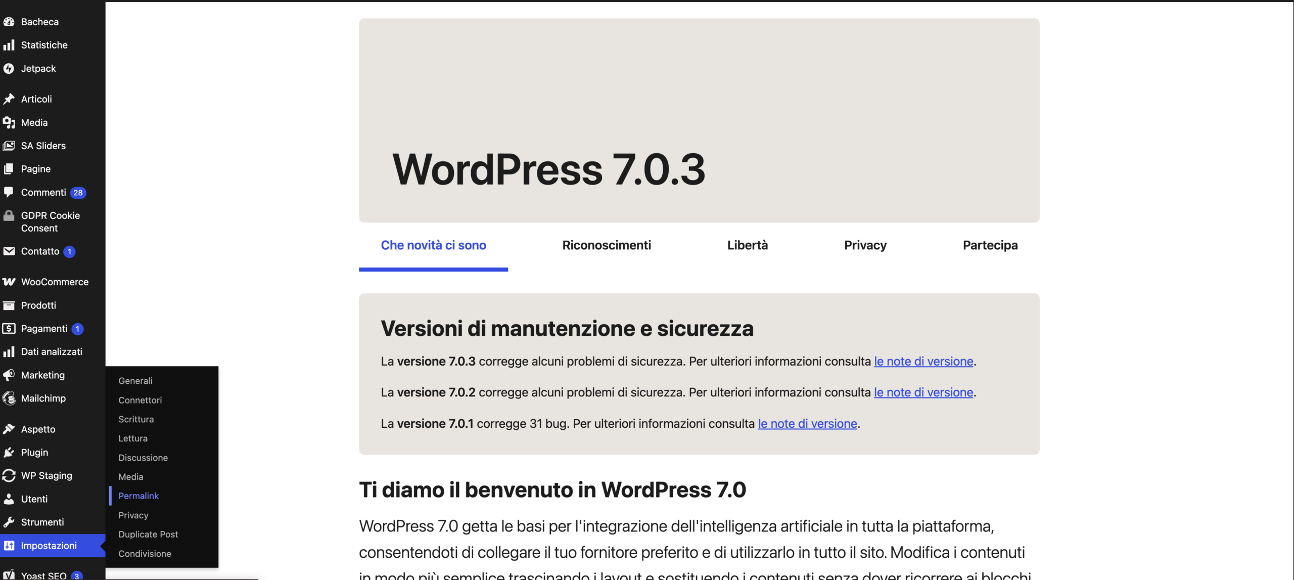 Come Risolvere un Errore Critico WordPress: Guida Passo-Passo per Principianti 6 sezione back end wordpress permalink